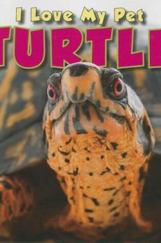 Cover of Turtle