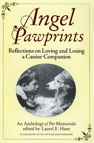 Book cover for Angel Pawprints