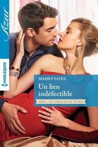 Cover of Un Lien Indefectible