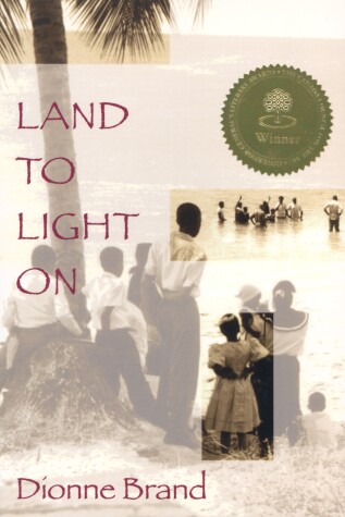 Book cover for Land to Light On