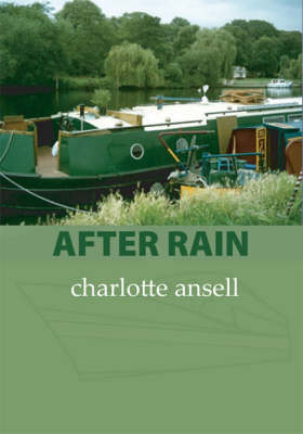 Book cover for After Rain