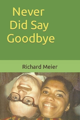 Book cover for Never Did Say Goodbye
