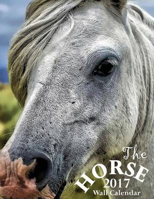 Book cover for The Horse 2017 Wall Calendar (UK Edition)