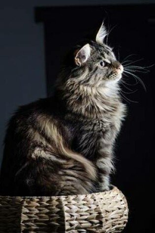 Cover of Maine Coon Cat Perched with Dignity Journal