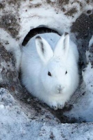 Cover of Awesome White Snowshoe Hare Looking Out of the Burrow Journal