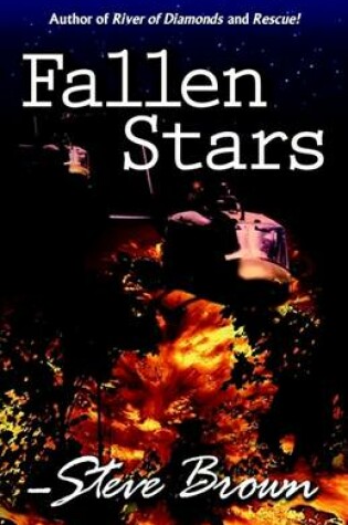 Cover of Fallen Stars