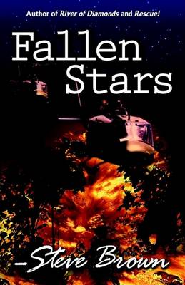 Book cover for Fallen Stars