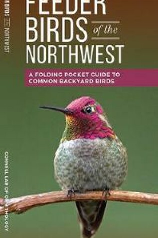 Cover of Feeder Birds of the Northwest