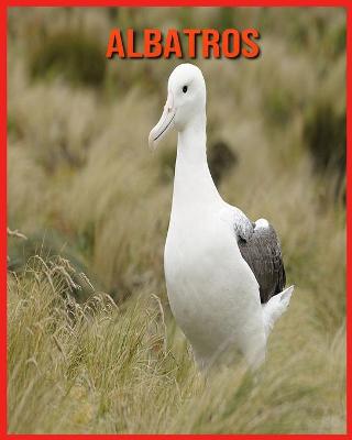 Book cover for Albatros