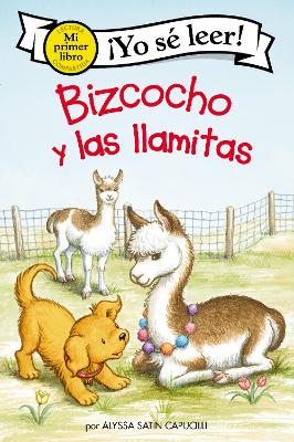 Book cover for Bizcocho Y Las Llamitas