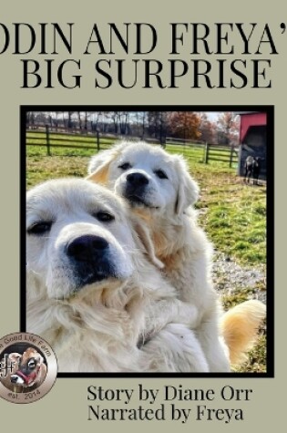 Cover of Odin and Freya's Big Surprise