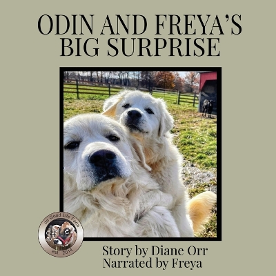 Cover of Odin and Freya's Big Surprise