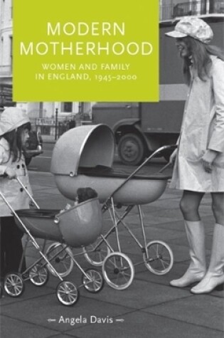 Cover of Modern Motherhood