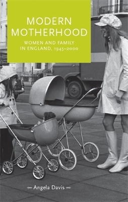 Cover of Modern Motherhood