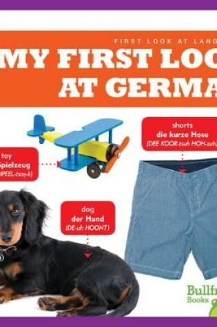 Cover of My First Look at German