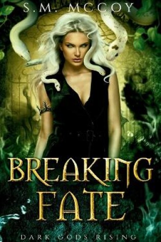 Cover of Breaking Fate