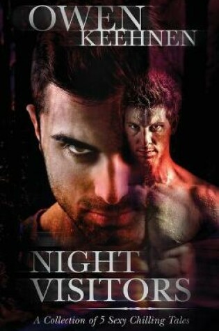 Cover of Night Visitors