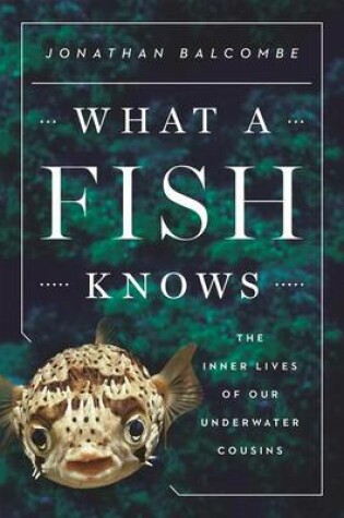 Cover of What a Fish Knows