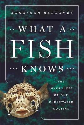 Book cover for What a Fish Knows