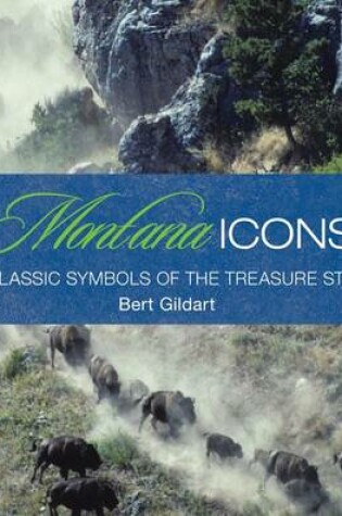 Cover of Montana Icons