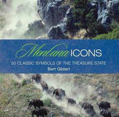 Book cover for Montana Icons