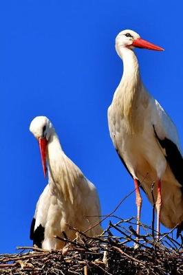 Book cover for Mated Stork Pair in a Nest Journal