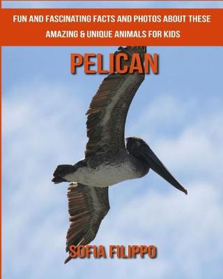 Book cover for Pelican