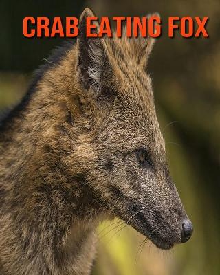 Book cover for Crab Eating Fox