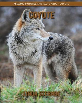 Book cover for Coyote