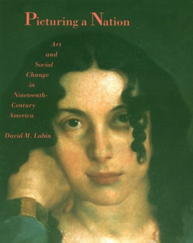 Book cover for Picturing a Nation