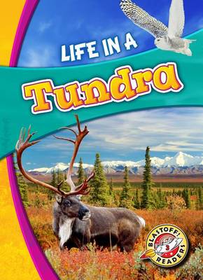 Book cover for Life In A Tundra