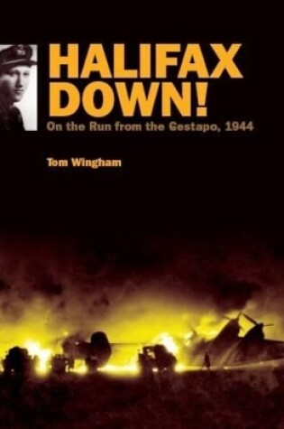 Cover of Halifax Down
