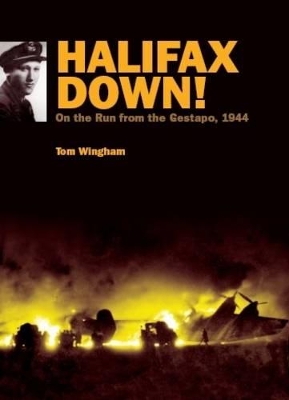 Book cover for Halifax Down