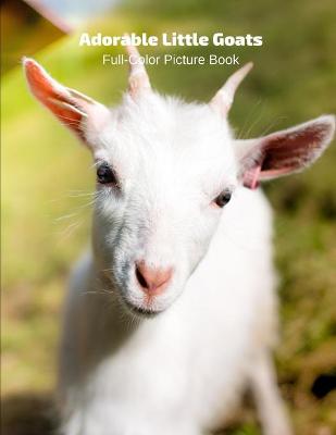 Book cover for Adorable Little Goats Full-Color Picture Book