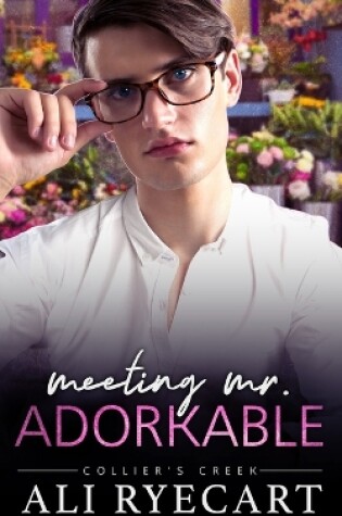 Cover of Meeting Mr. Adorkable