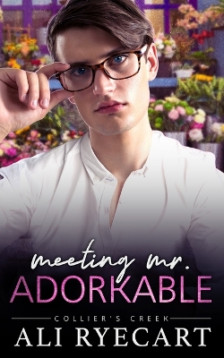 Book cover for Meeting Mr. Adorkable