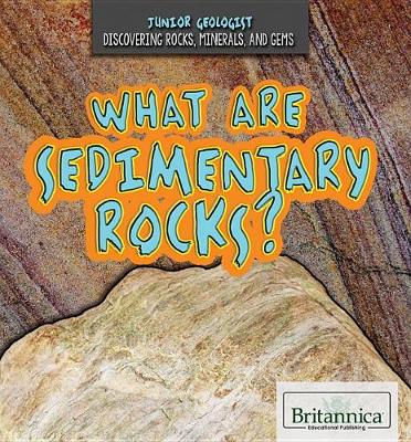 Book cover for What Are Sedimentary Rocks?