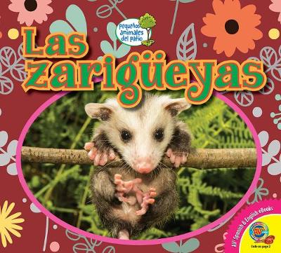 Book cover for Las Zarigüeyas