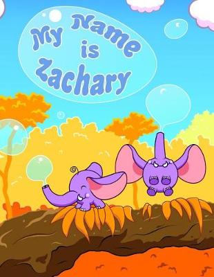 Book cover for My Name Is Zachary