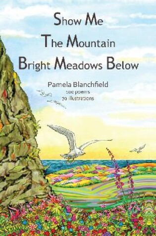 Cover of Show Me The Mountain Bright Meadows Below