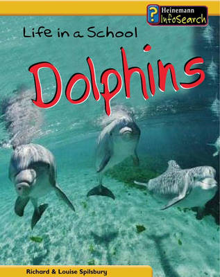 Book cover for Life in a School of Dolphins