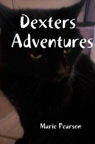 Cover of Dexters Adventures