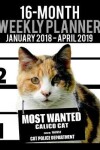 Book cover for 2018-2019 Weekly Planner - Most Wanted Calico Cat