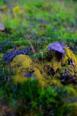 Book cover for A Magical Glade in the Forest Fantasy Journal