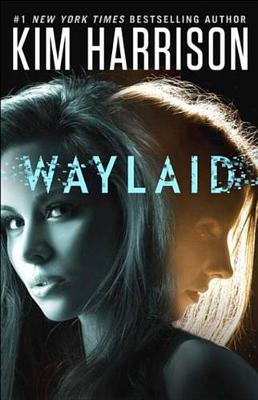 Book cover for Waylaid