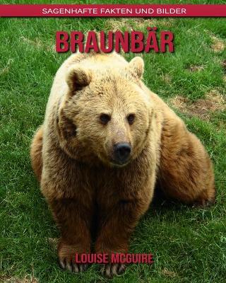 Book cover for Braunbär