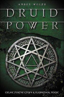 Book cover for Druid Power