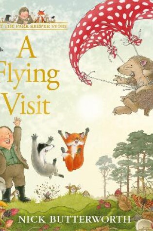 Cover of A Flying Visit