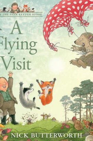 Cover of A Flying Visit