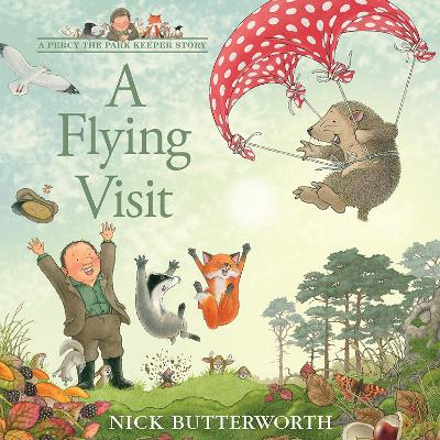 Book cover for A Flying Visit